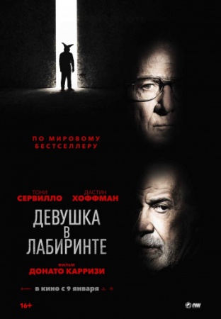 Девушка в лабиринте (2019) смотреть онлайн бесплатно на ок фильм