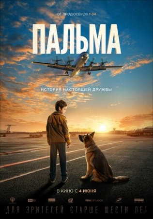 Пальма (2020) смотреть онлайн бесплатно на ок фильм