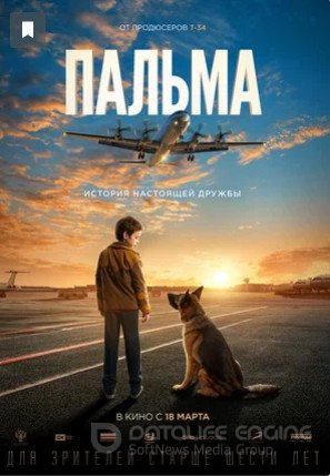 Пальма